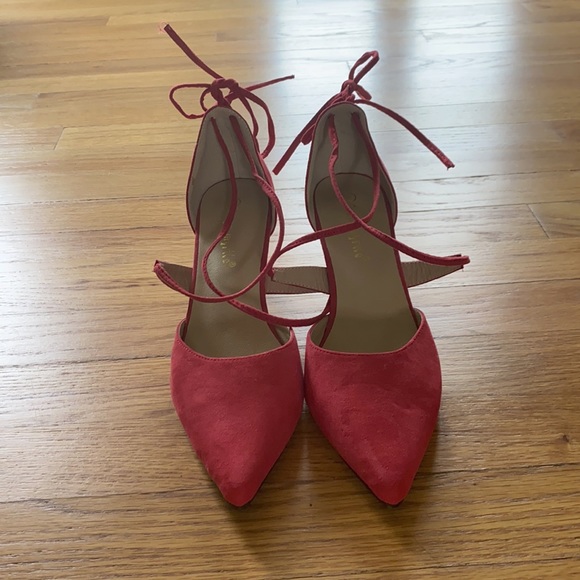 Kitten Heals - Picture 1 of 5